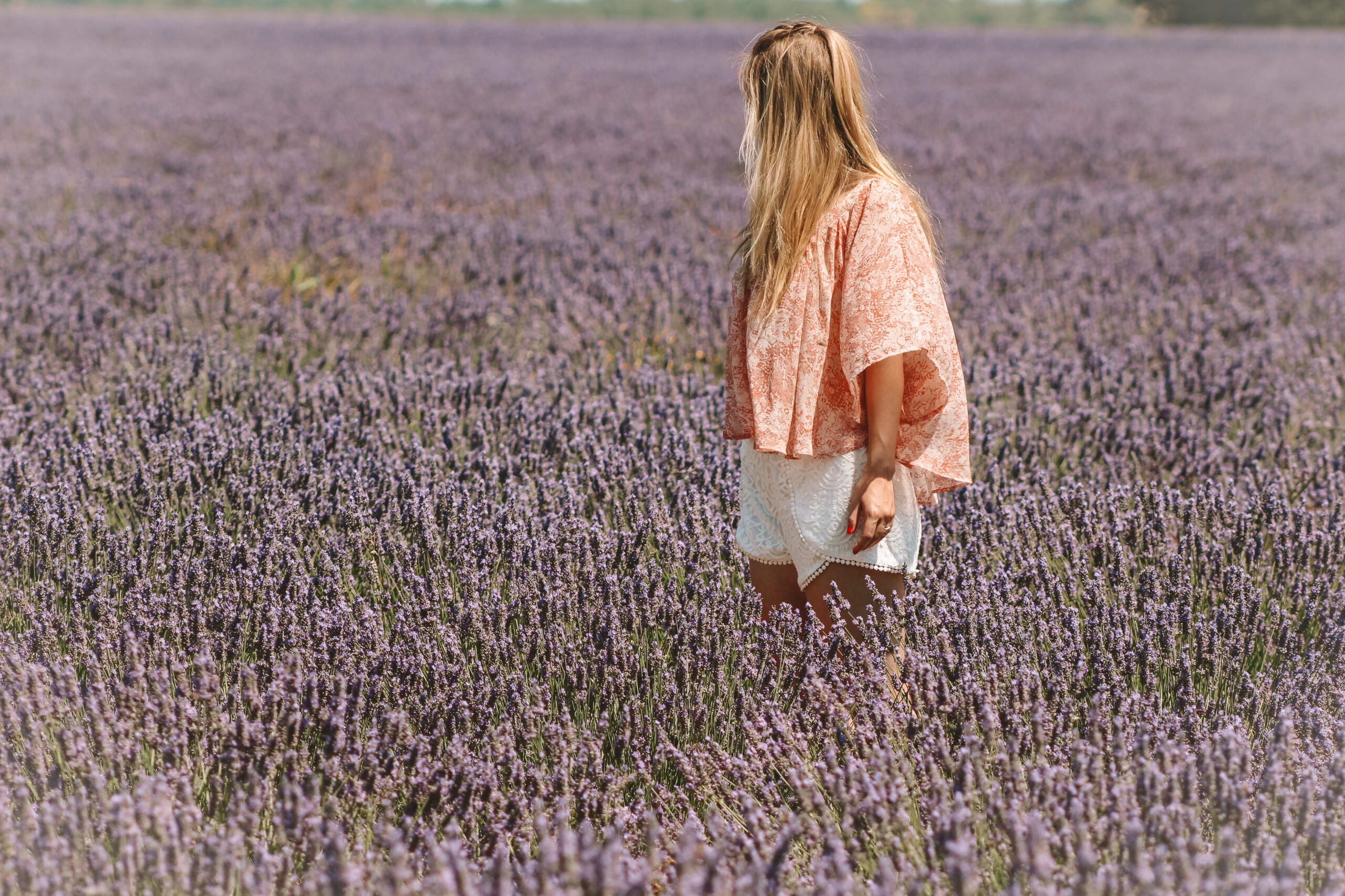 purple fields and golden light and someone standing in the middle