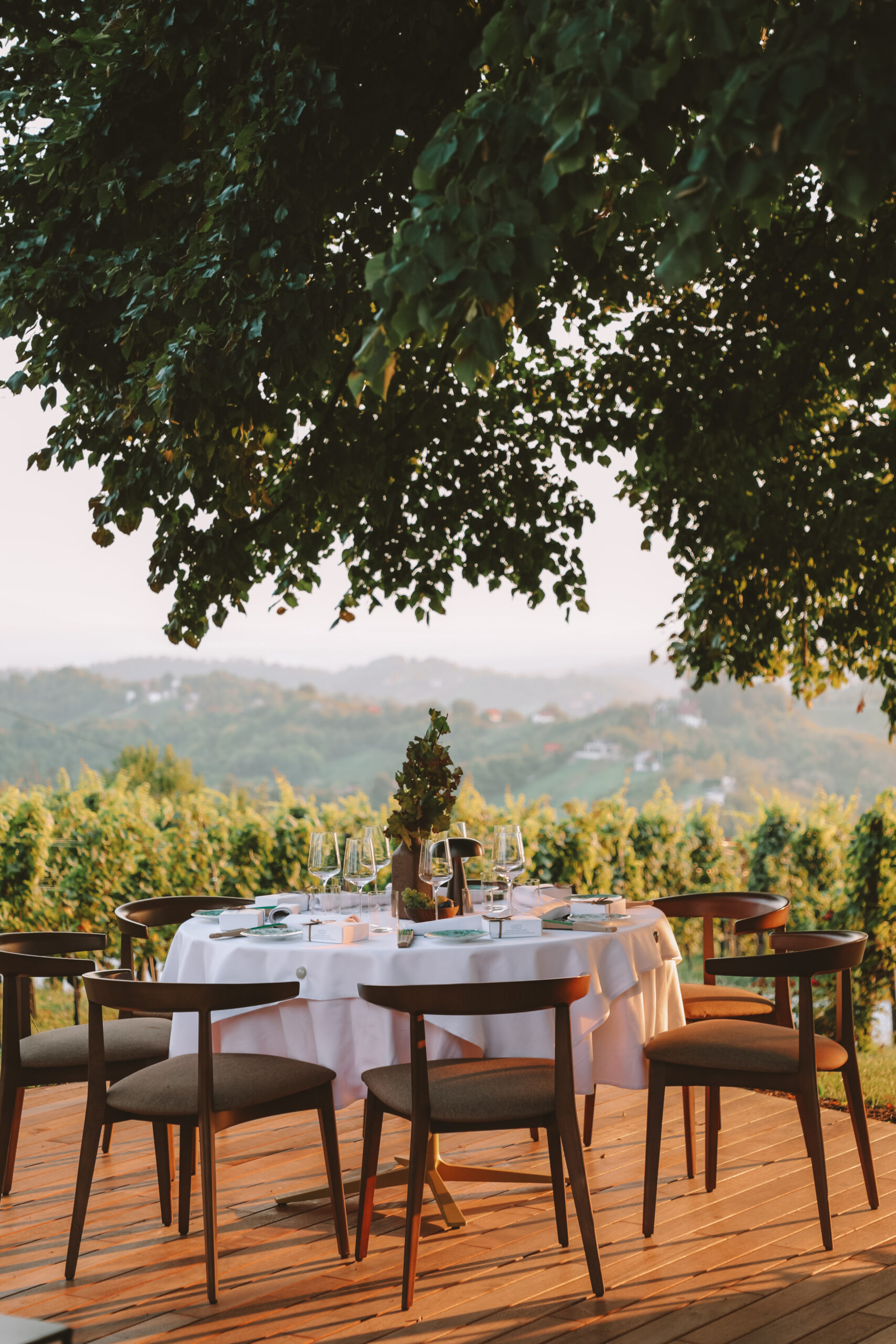 Zagreb County: Croatia’s Undiscovered Culinary Destination
