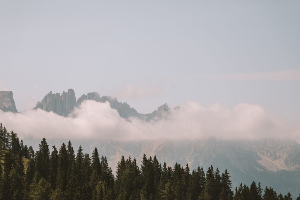 Mountain View hotel South Tyrol