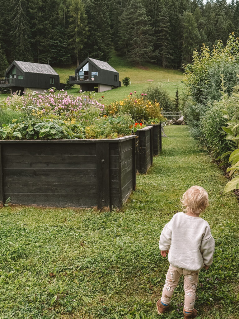 die Kräuterbeete des Naturhotel Pfösl