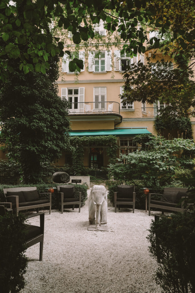 the lush green backyard of the hotel