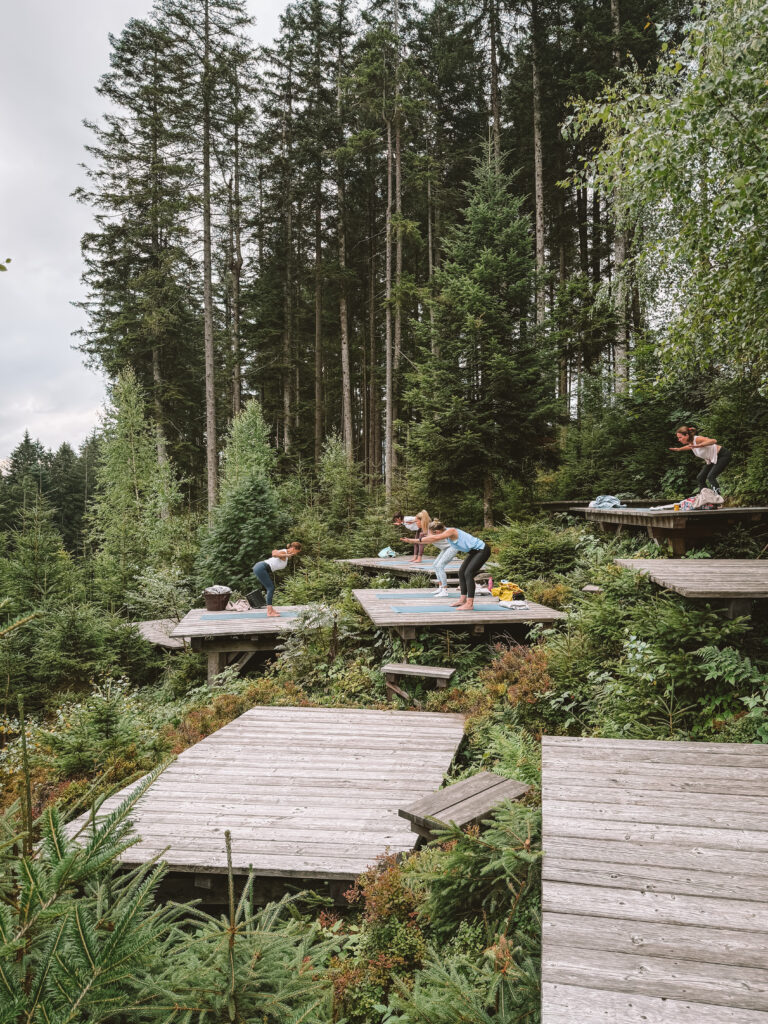 Yoga platform at the Luxury Lakeside Chalet Priesteregg