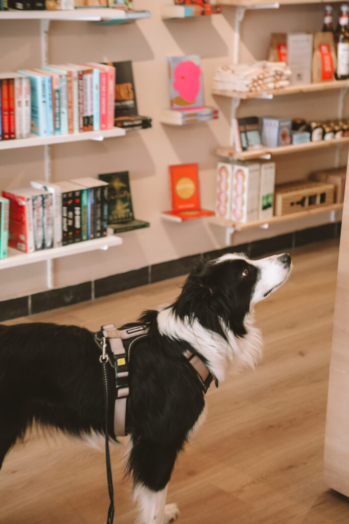 Buchhandlung in Friesland